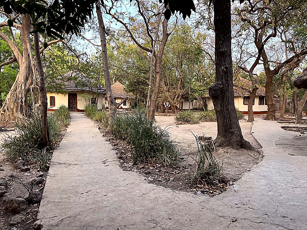 Pathways and bungalows at Janjanbureh Camp