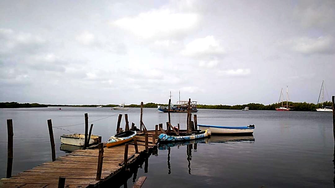 Dock and boats on the river